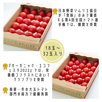 【期間限定】栄養価コンテストでグランプリを受賞した「古賀とまと」