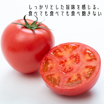 【期間限定】栄養価コンテストでグランプリを受賞した「古賀とまと」