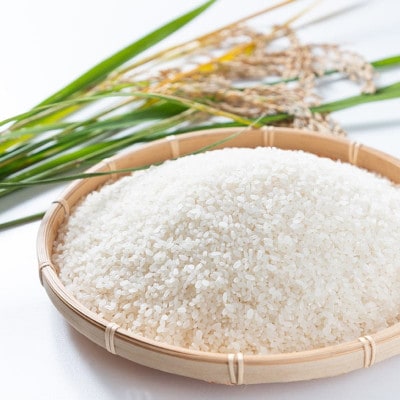 令和7年産 トマト酢を使って育てた「つや姫」 白米4.5kg