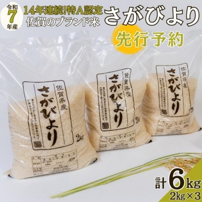 【先行予約】令和7年 佐賀県産『さがびより』白米6kg(2kg×3袋)(佐賀市)