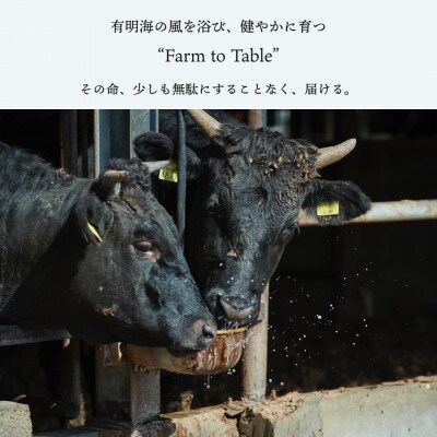 佐賀牛すきやき用スライス500g　B025-023