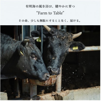 【牧場直送】佐賀産和牛 煮込み用肉 800g　B023-036
