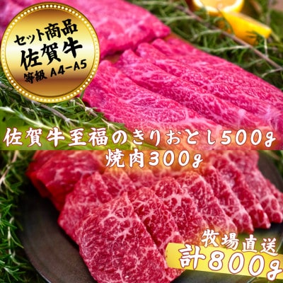 佐賀牛セット　至福のきりおとし500gと焼肉300g