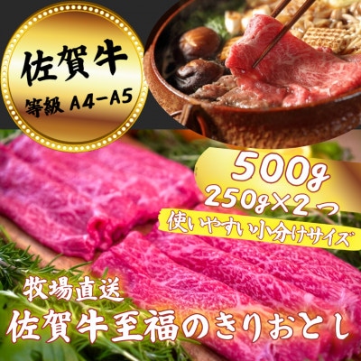 【佐賀牛】至福のきりおとし 500g