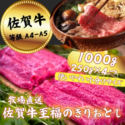 【佐賀牛】至福のきりおとし 1000g