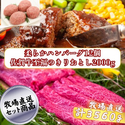 佐賀県産牛の柔らかハンバーグ12個と至福のきりおとし2,000g