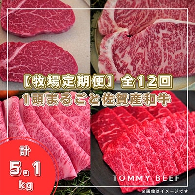 【毎月定期便】1頭まるごと佐賀産和牛の定期便全12回
