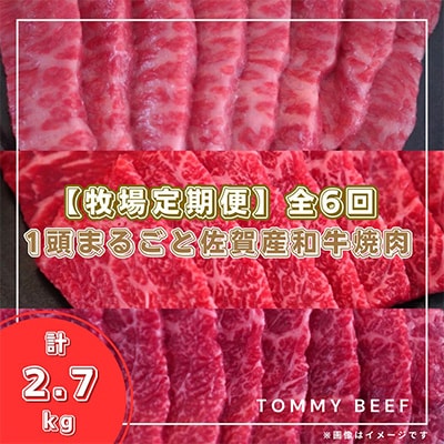【毎月定期便】1頭まるごと佐賀産和牛の焼肉定期便全6回