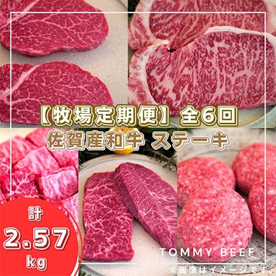 【毎月定期便】佐賀産和牛のステーキ定期便全6回　C113-005