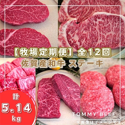【毎月定期便】佐賀産和牛のステーキ定期便全12回　C224-004