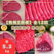 【毎月定期便】佐賀産和牛の赤身肉 食べ比べ 全12回