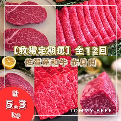 【毎月定期便】佐賀産和牛の赤身肉 食べ比べ 全12回