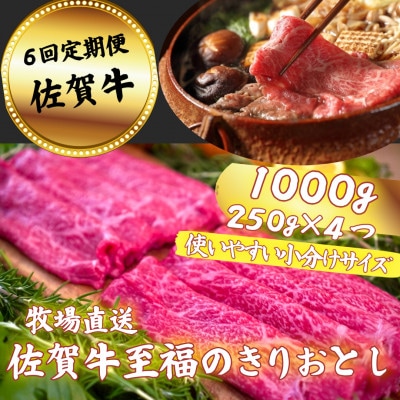 【毎月定期便】【佐賀牛】至福のきりおとし 1000g全6回