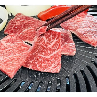 プレミアム 佐賀牛カルビ焼き肉用 500g×2パック