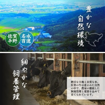 佐賀牛ロースステーキ400g(200g×2枚)　真空個包装