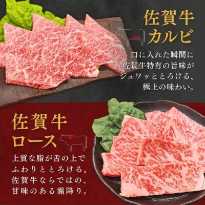 佐賀牛ロース&佐賀牛カルビ 焼肉用 500g 人気の部位が2種類【バーベキューや贈答にも】