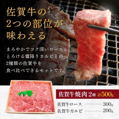 佐賀牛ロース&佐賀牛カルビ 焼肉用 500g 人気の部位が2種類【バーベキューや贈答にも】