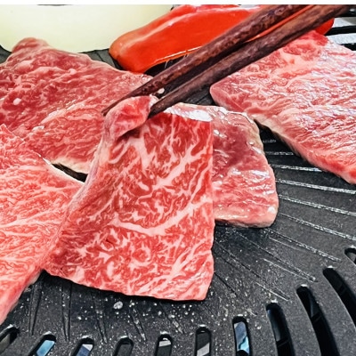 プレミアム 佐賀牛 カルビ焼き肉用 500g(佐賀市)