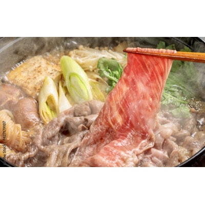 プレミアム 佐賀牛　すき焼き・しゃぶしゃぶ用　500g×2(佐賀市)