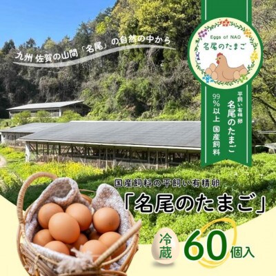 【冷蔵:6月～9月配送】国産飼料の平飼い有精卵60個入「名尾のたまご」