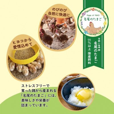 【冷蔵:6月～9月配送】国産飼料の平飼い有精卵60個入「名尾のたまご」