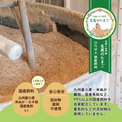 【冷蔵:6月～9月配送】国産飼料の平飼い有精卵60個入「名尾のたまご」