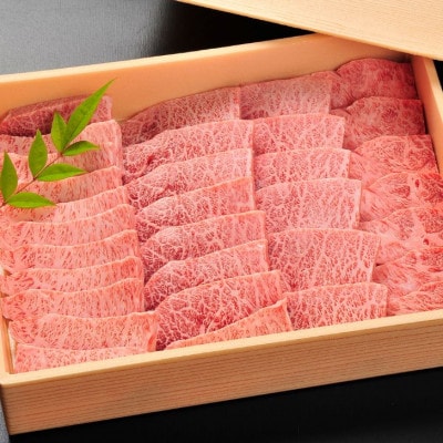 希少部位　佐賀牛ミスジ焼肉 500g(佐賀市)