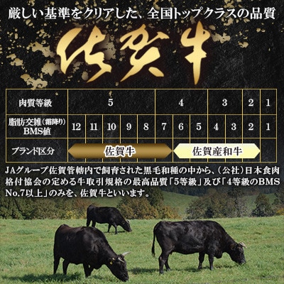 【期間・数量限定】佐賀牛サーロインステーキ 200g×2枚