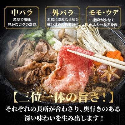 佐賀産和牛 切り落とし 600g(300g×2パック)(佐賀市)