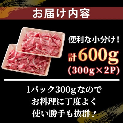 佐賀産和牛 切り落とし 600g(300g×2パック)(佐賀市)