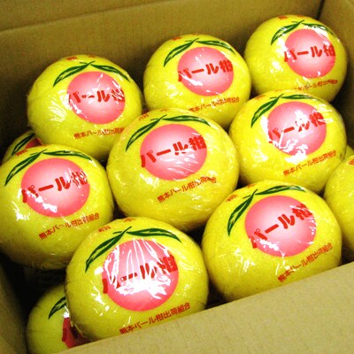 パール 柑 お礼品詳細 ふるさと納税なら さとふる