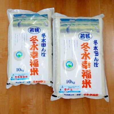 特別栽培コシヒカリ 冬水幸福米【精米】 20kg