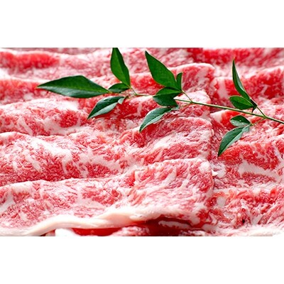 熊本県産和牛 あか牛　特選すきやき用600g (熊本県玉東町)