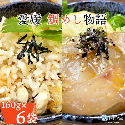<愛媛　鯛めし物語(6袋)>　魚　丼　郷土料理　食べ比べ　特産品