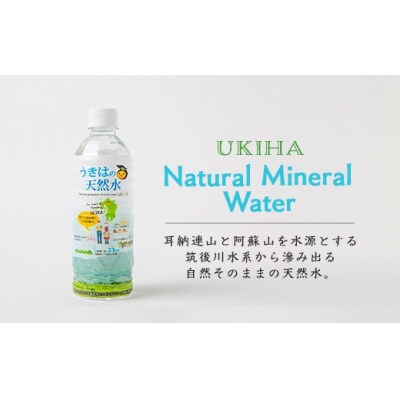 うきは名水 うきはの天然水 (500ml×24本入り) 2箱 ナチュラルミネラルウォーター