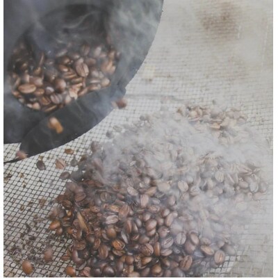 【自家焙煎珈琲】コロンビア 中深煎り　コーヒー豆200g【ヤマフクコーヒー】