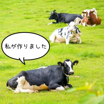 なかとんアイス 1個【北海道産ブランド牛乳「なかとん牛乳」使用】