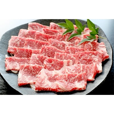 【2024年5月上旬発送】肥後の赤牛　焼肉用　500g(熊本県産和牛)(玉東町)