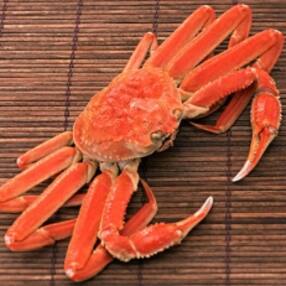 花 ズワイガニのお礼品 返礼品一覧 ふるさと納税サイト さとふる