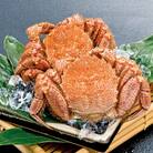 【厳選三特品】北海道近海産毛ガニ 2尾　1kg