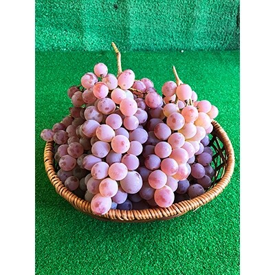 果樹王国“やまなし”から<甲州ぶどう 約2kg>