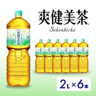 爽健美茶  2LPET6本セット(1ケース)[014-062]