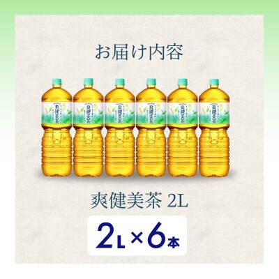 爽健美茶  2LPET6本セット(1ケース)[014-062]
