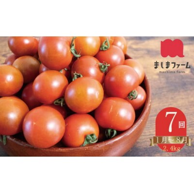 【1月～8月頃発送】<約2.4kg×7回 定期便>訳あり フルティカアイメックトマト