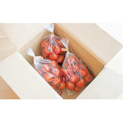 【1月～8月頃発送】<約1.2kg×7回 定期便>訳あり フルティカアイメックトマト 