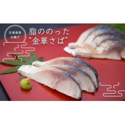 金華さば炙りしめ鯖セット お礼品詳細 ふるさと納税なら さとふる