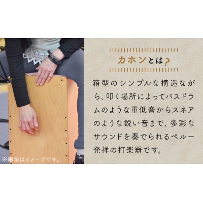 打楽器 カホン ARCO カホン SN35B 国産 楽器 手作り 石巻市 木製 ドラム アルコ