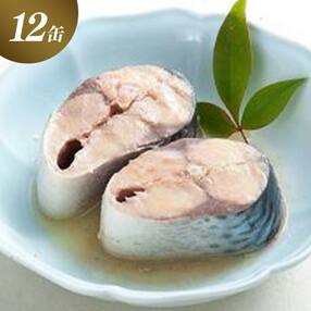 さば缶詰(水煮)12缶 サバ缶 鯖