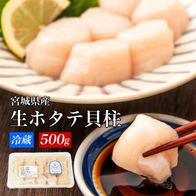 宮城県産 生食用 生ホタテ貝柱(500g/約15個〜18個入り) 冷蔵 帆立 ほたて 貝柱 石巻市