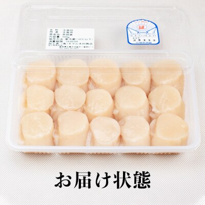 宮城県産 生食用 生ホタテ貝柱(500g/約15個〜18個入り) 冷蔵 帆立 ほたて 貝柱 石巻市